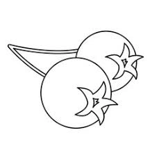 Two aronia coloring book